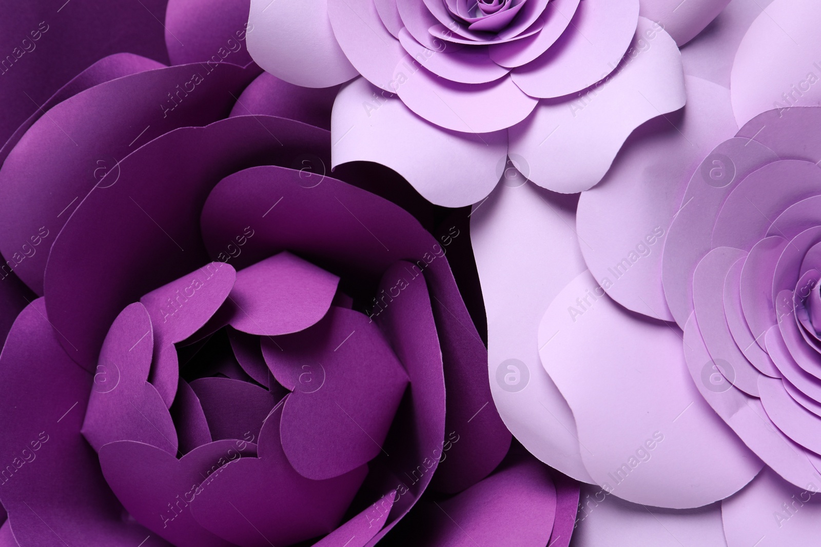 Photo of Different beautiful flowers as background, top view