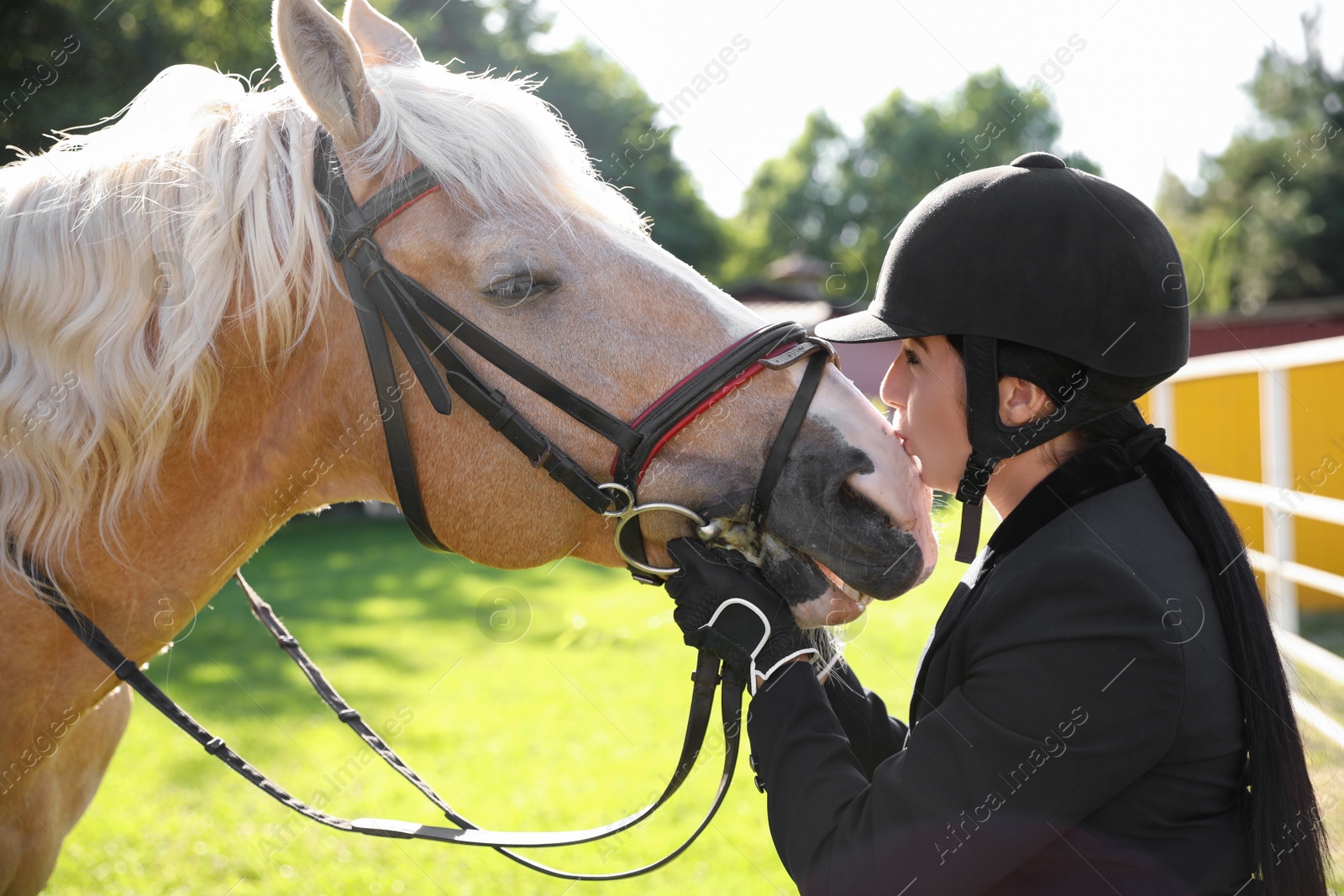 Photo of Young woman in horse riding suit and her beautiful pet outdoors on sunny day