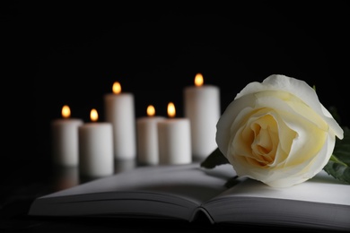 Photo of White rose, book and blurred burning candles on table in darkness, closeup with space for text. Funeral symbol