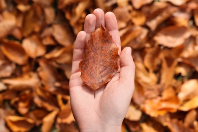 Woman holding autumn leaf over pile of fallen foliage, top view