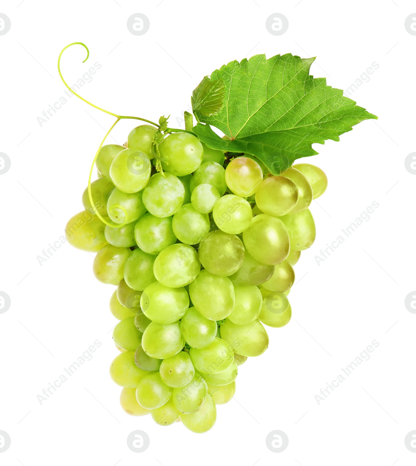 Photo of Bunch of fresh ripe juicy grapes isolated on white