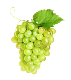 Photo of Bunch of fresh ripe juicy grapes isolated on white