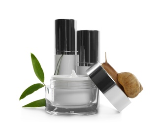 Photo of Snail, cosmetic products and green leaves isolated in white