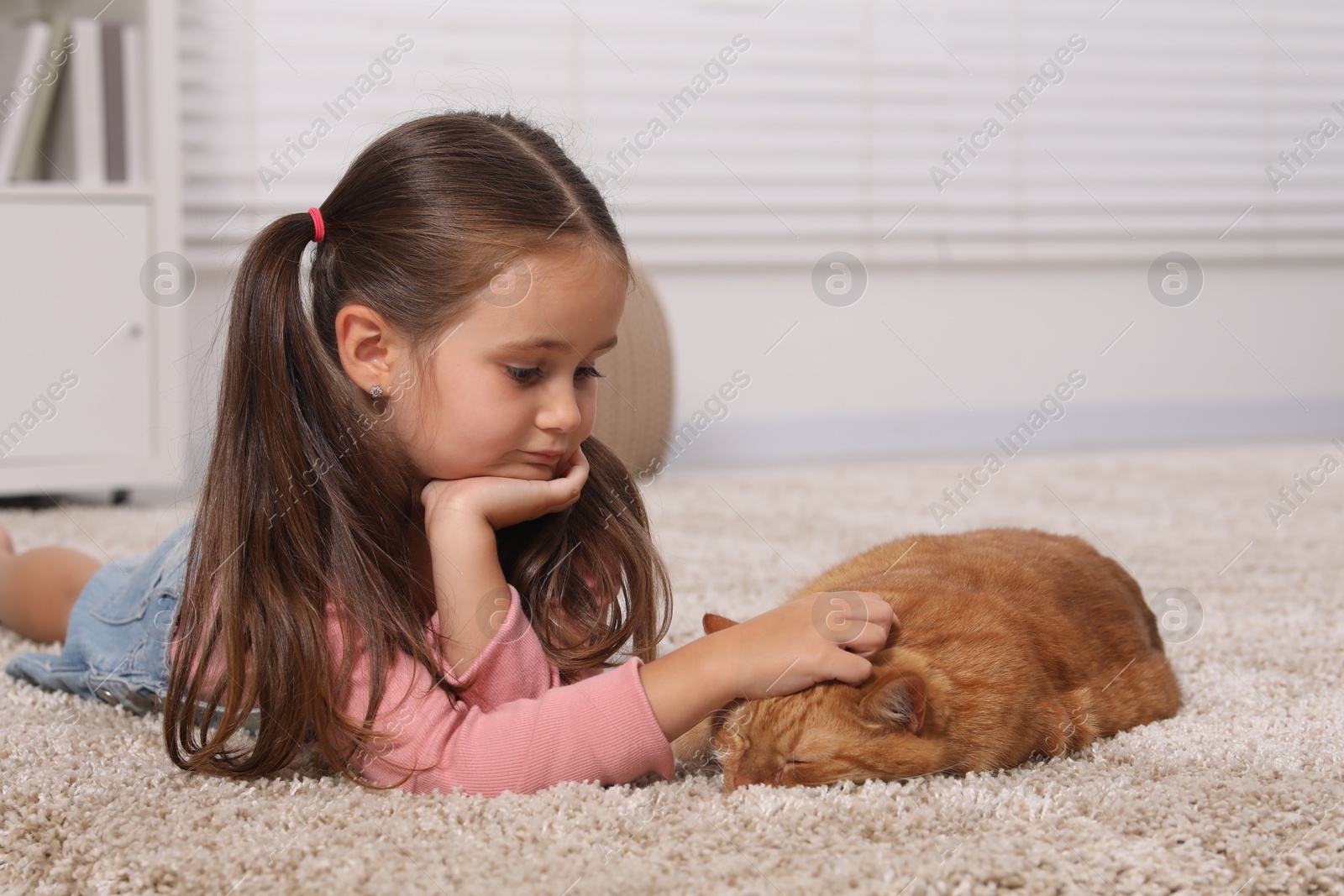 Photo of Little girl petting cute ginger cat on carpet at home