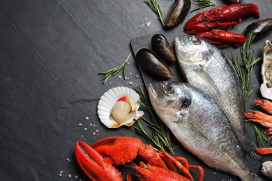 Fresh fish and different seafood on black table, flat lay. Space for text