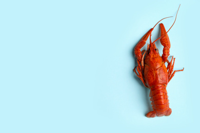 Photo of Delicious boiled crayfish on light blue background, top view. Space for text