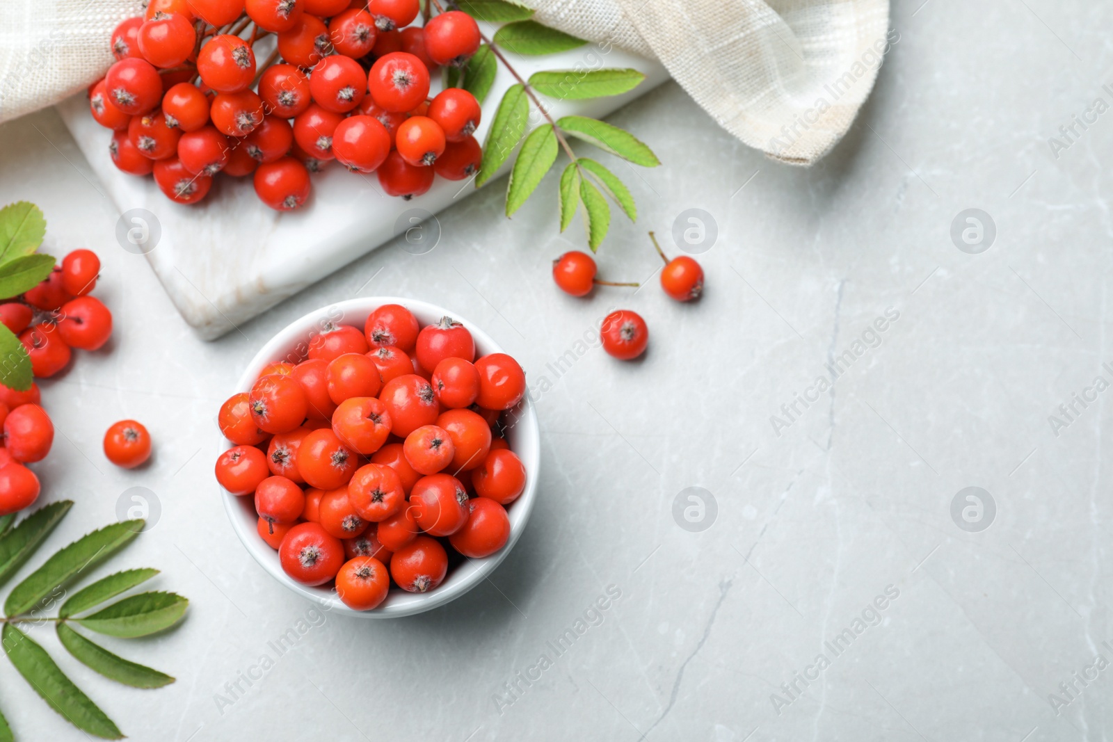 Photo of Fresh ripe rowan berries and leaves on light table, flat lay. Space for text