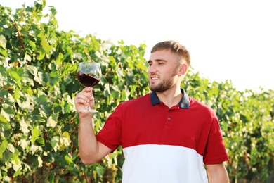 Handsome man enjoying wine at vineyard on sunny day