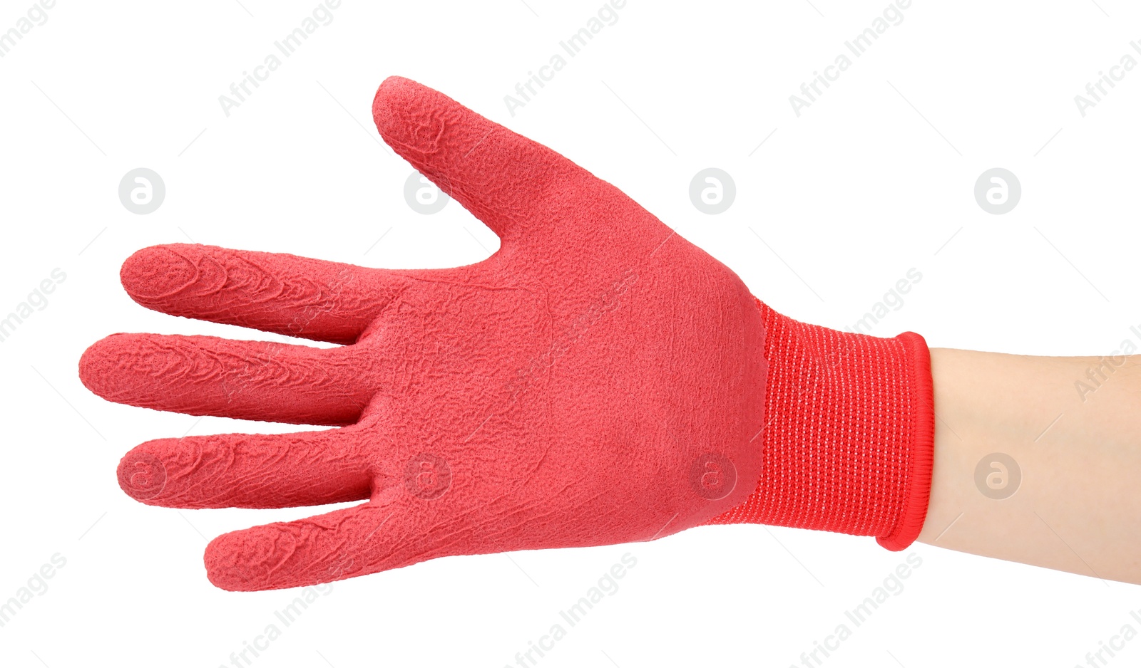 Photo of Woman in gardening glove on white background, closeup