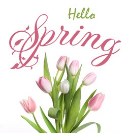 Image of Hello Spring card. Beautiful tulips on white background