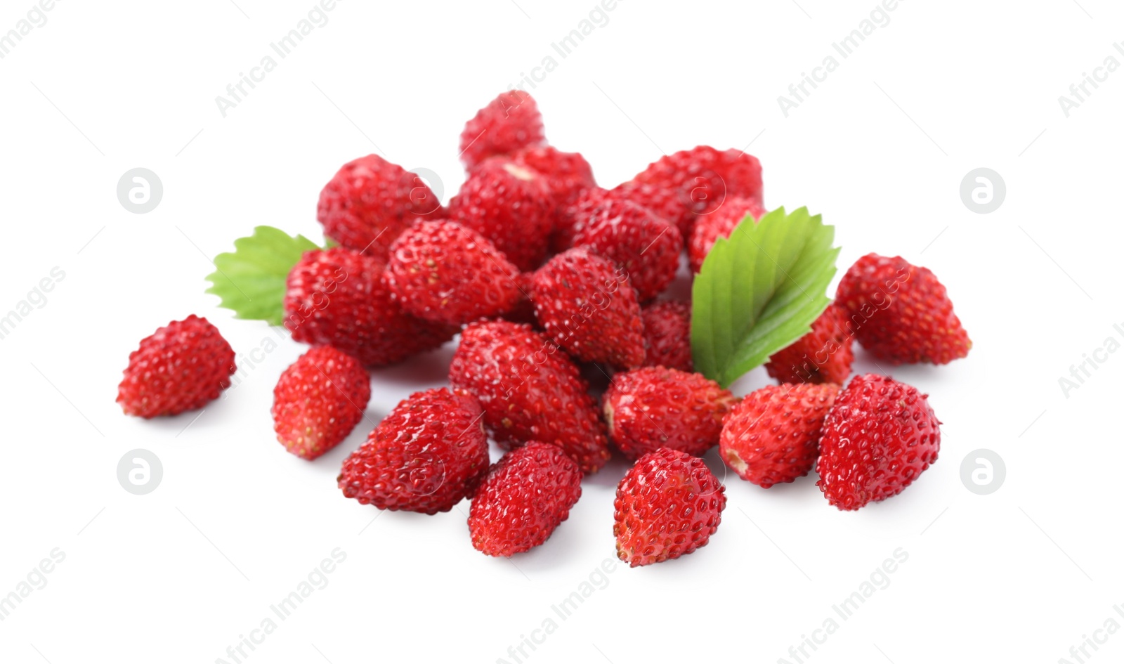 Photo of Ripe wild strawberries and green leaves isolated on white