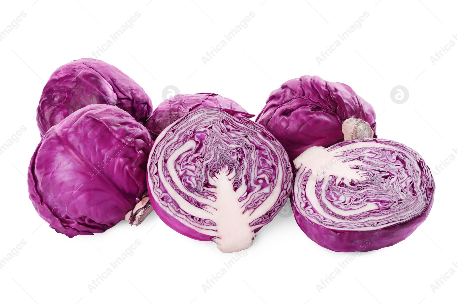 Photo of Whole and cut red cabbages on white background