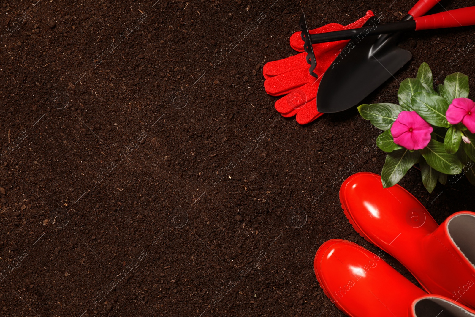 Photo of Flat lay composition with gardening equipment and flower on soil, space for text