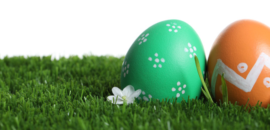 Photo of Colorful Easter eggs and flower on green grass against white background, closeup