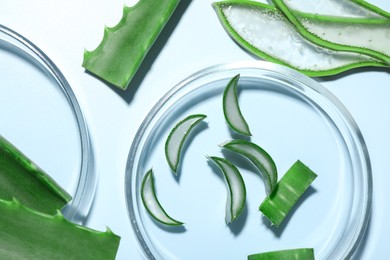 Petri dishes and cut aloe vera on light blue background, flat lay