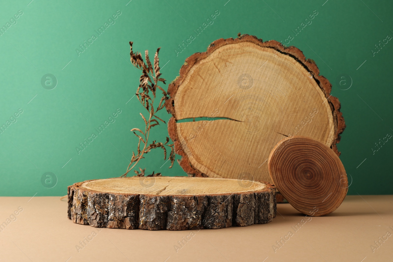 Photo of Presentation for product. Wooden stumps and dry plant on color background