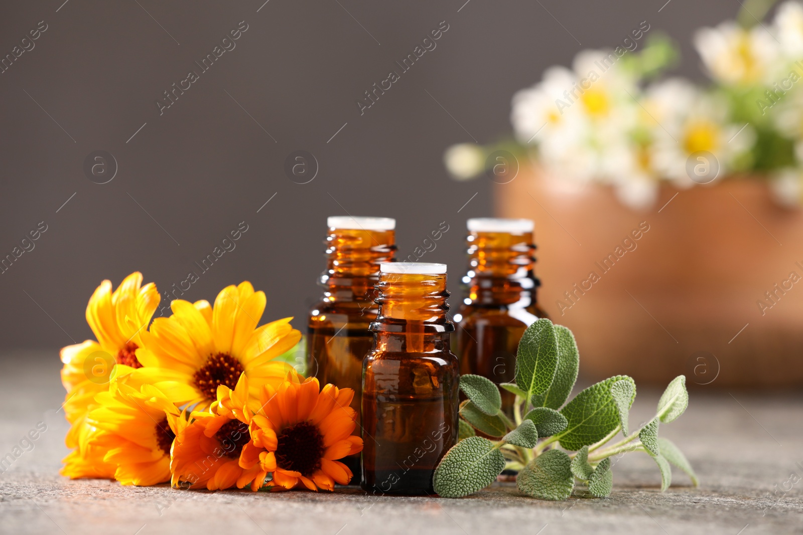 Photo of Bottles with essential oils, flowers and sage on grey textured table