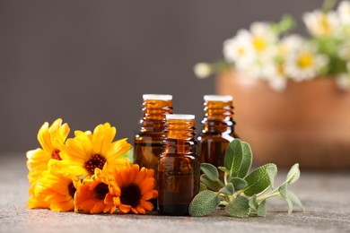 Bottles with essential oils, flowers and sage on grey textured table