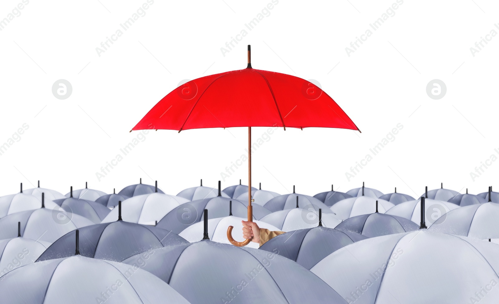 Image of Person holding umbrella over other on white background 