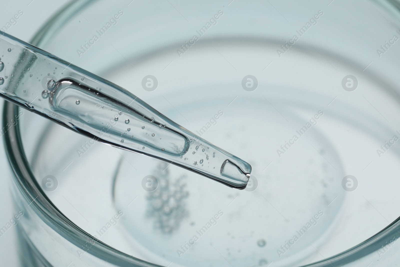 Photo of Glass pipette and petri dish with liquid on light background, closeup