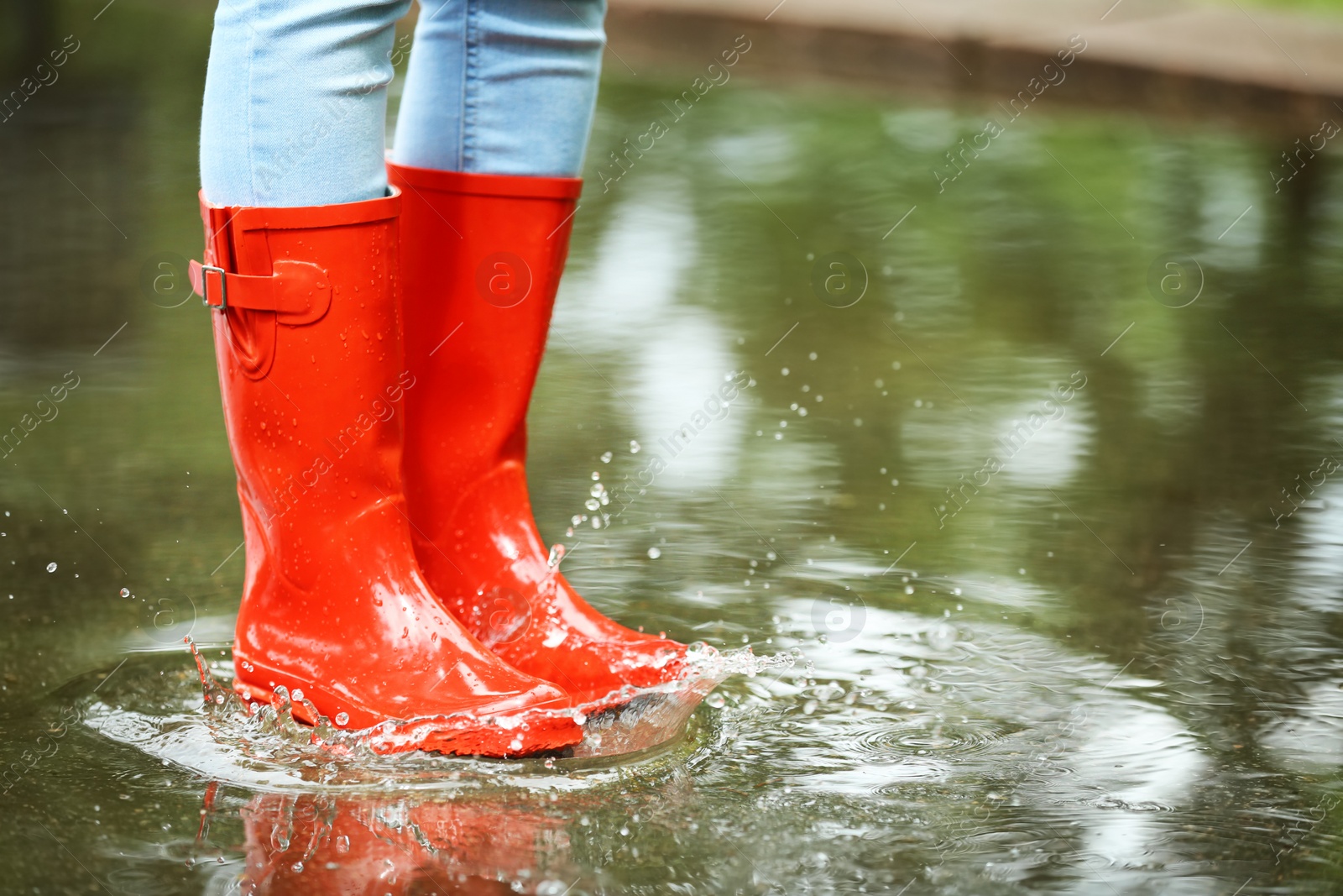 Photo of Woman with red rubber boots in puddle, closeup. Rainy weather