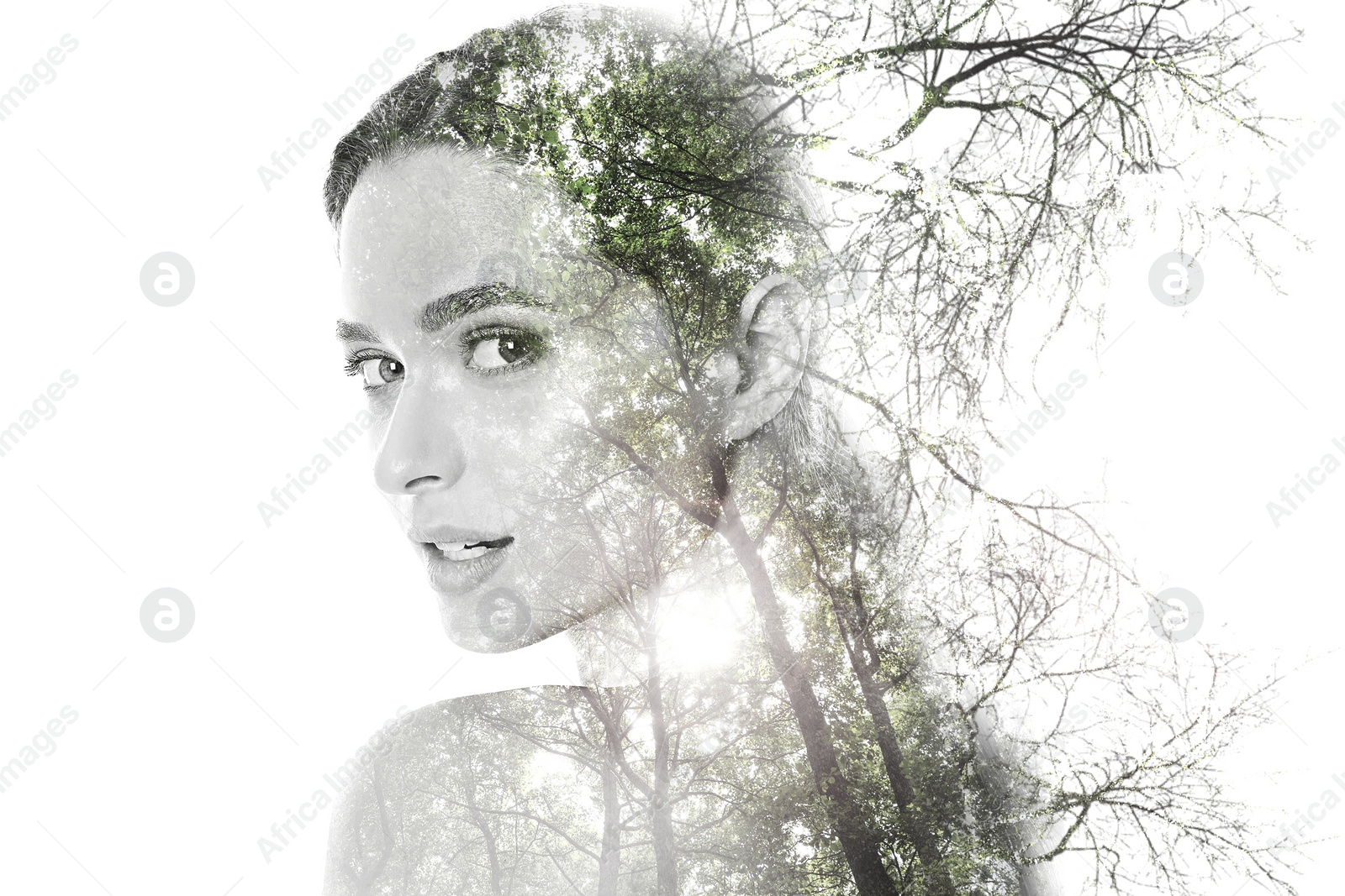 Image of Double exposure of beautiful woman and trees on white background, color toned