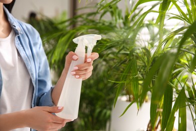 Woman spraying leaves of house plants indoors, closeup