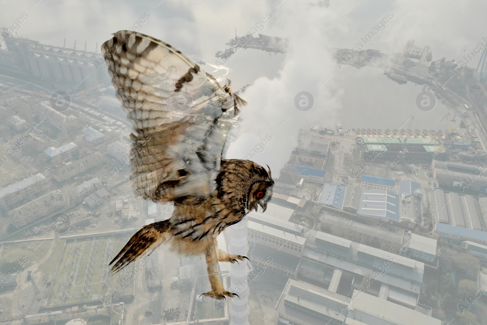 Image of Double exposure of industrial factory and owl. Environmental pollution