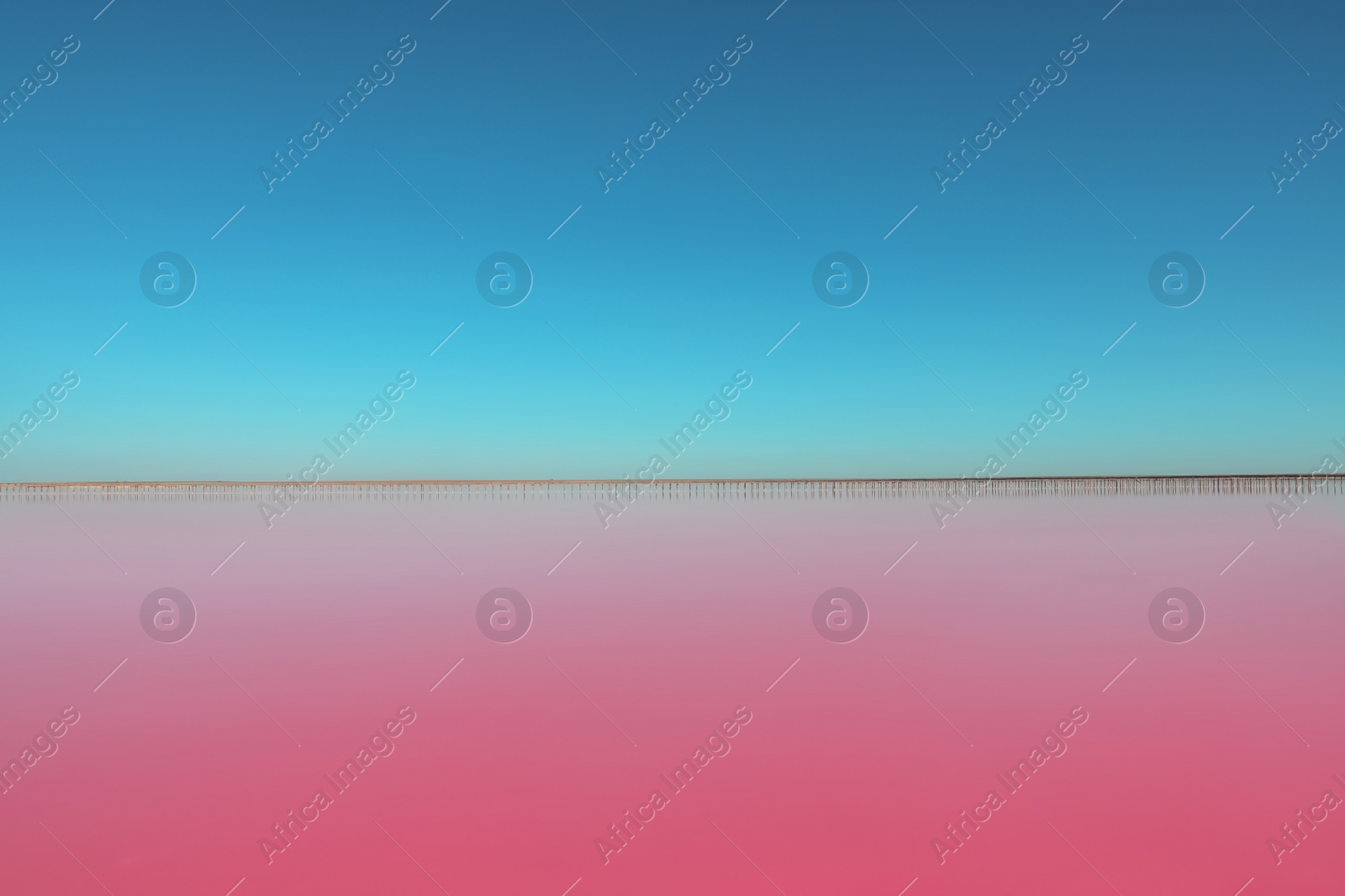 Photo of Beautiful view of pink lake on summer day