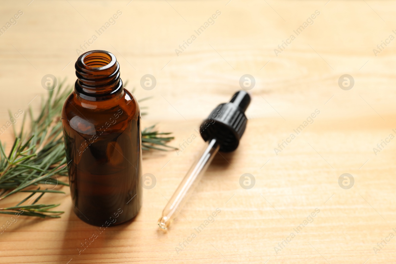 Photo of Bottle of natural tea tree oil, dropper and plant on table, space for text