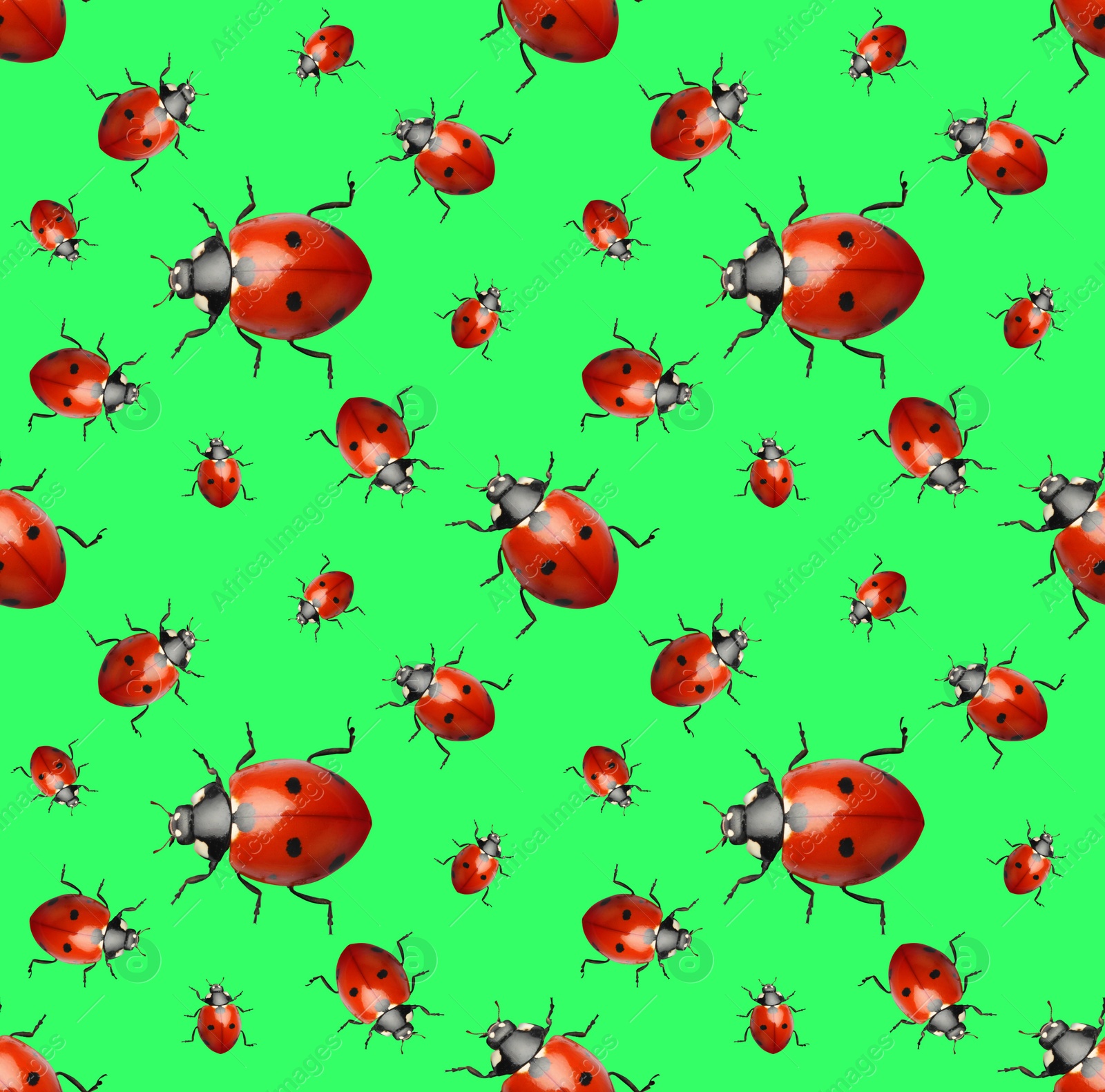 Image of Many red ladybugs on green background, flat lay 