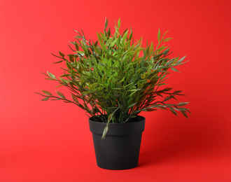 Photo of Beautiful artificial plant in flower pot on red background