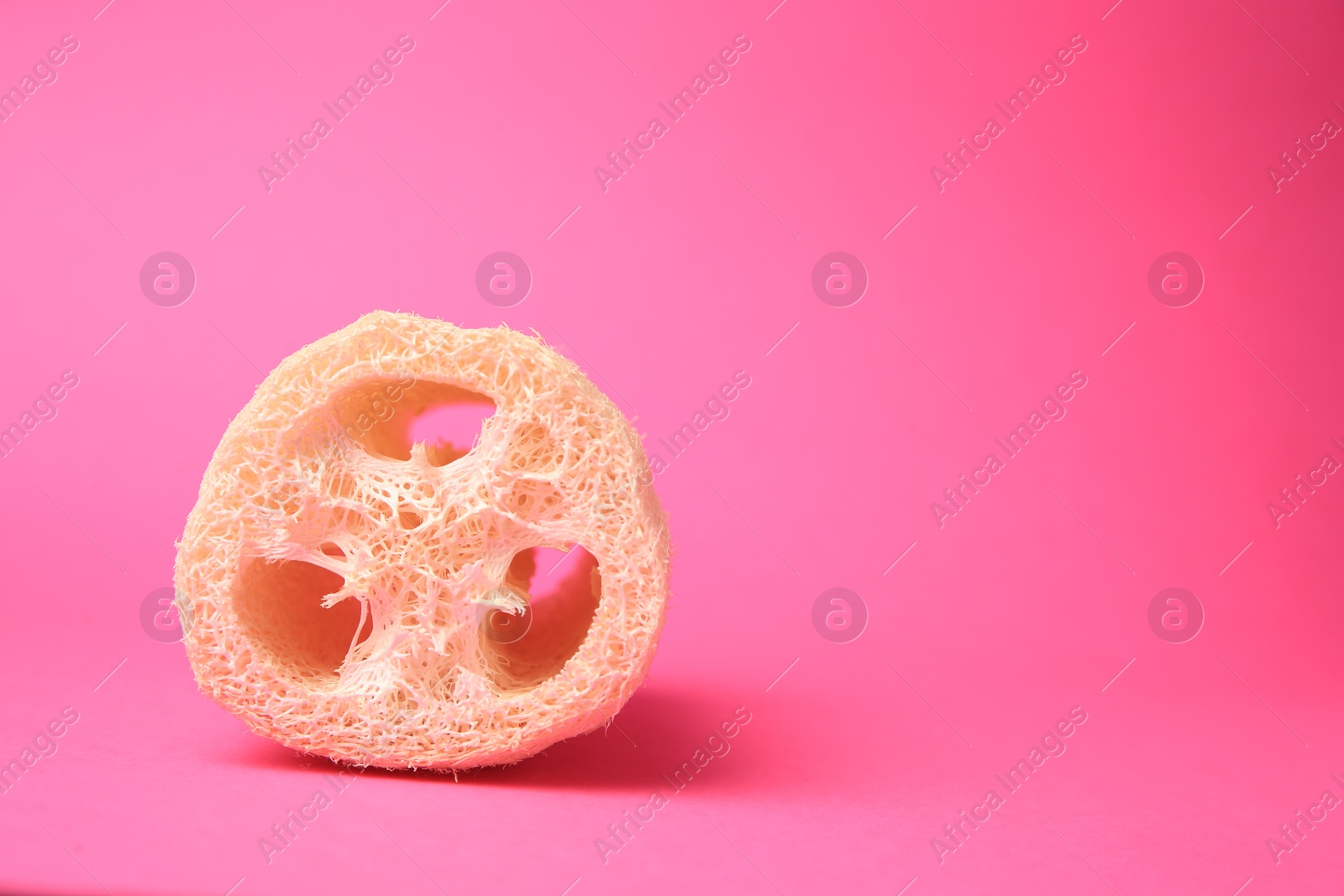 Photo of Natural loofah sponge on pink background, space for text