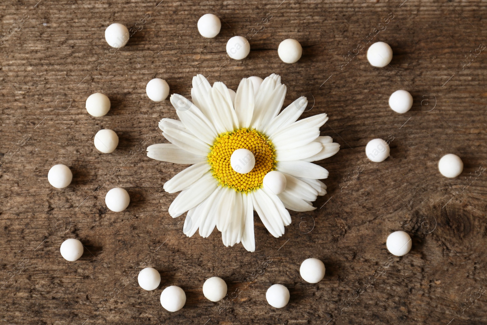 Photo of Homeopathic remedy and chamomile flower on wooden background, flat lay