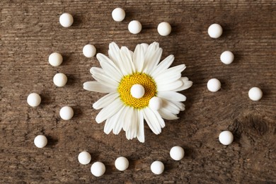 Photo of Homeopathic remedy and chamomile flower on wooden background, flat lay