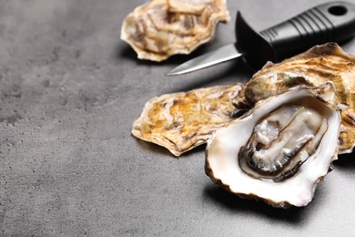 Photo of Fresh oysters and knife on grey table, closeup. Space for text