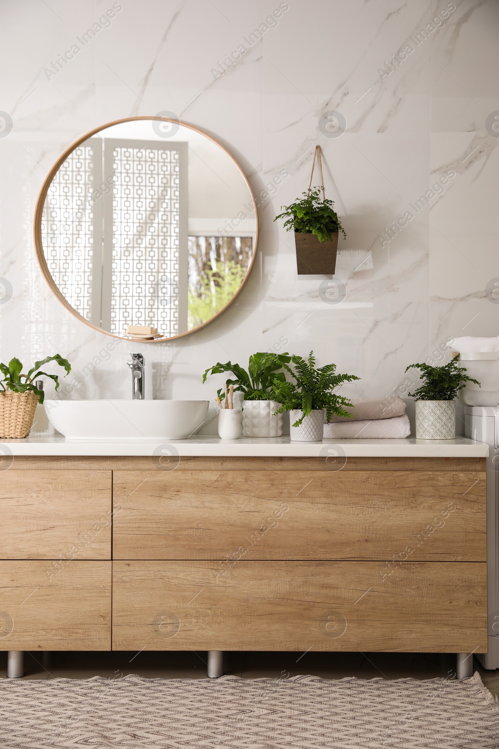 Photo of Beautiful green ferns and toiletries in bathroom