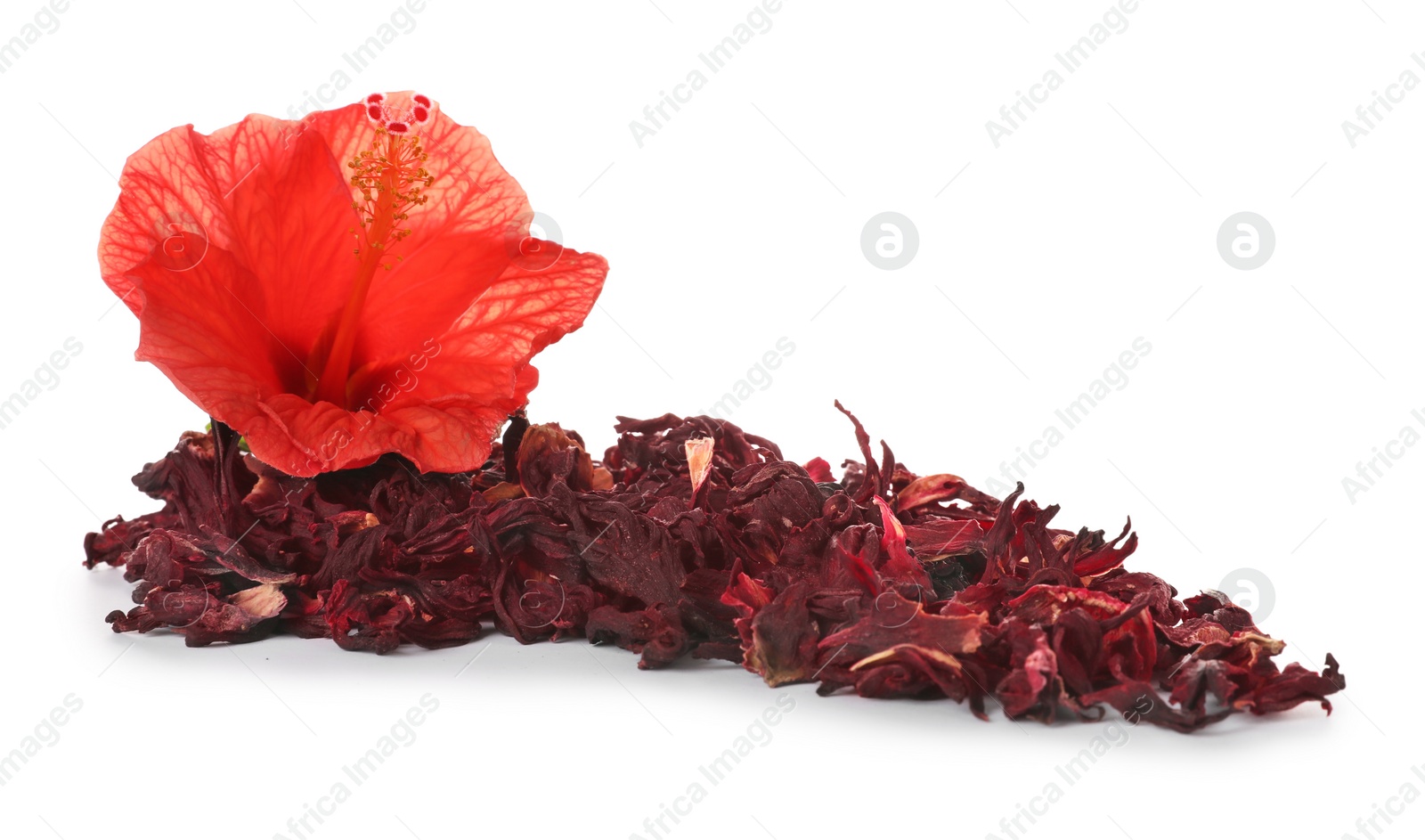 Photo of Dry hibiscus tea and beautiful flower on white background