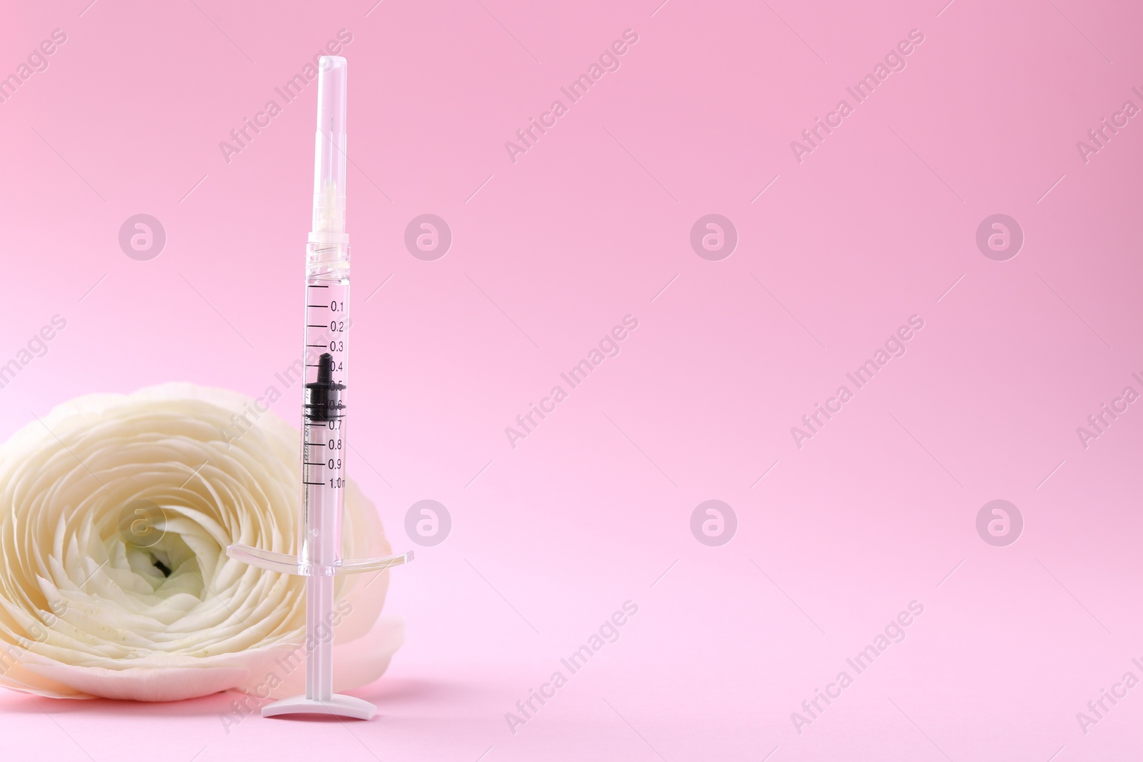 Photo of Cosmetology. Medical syringe and ranunculus flower on pink background, space for text