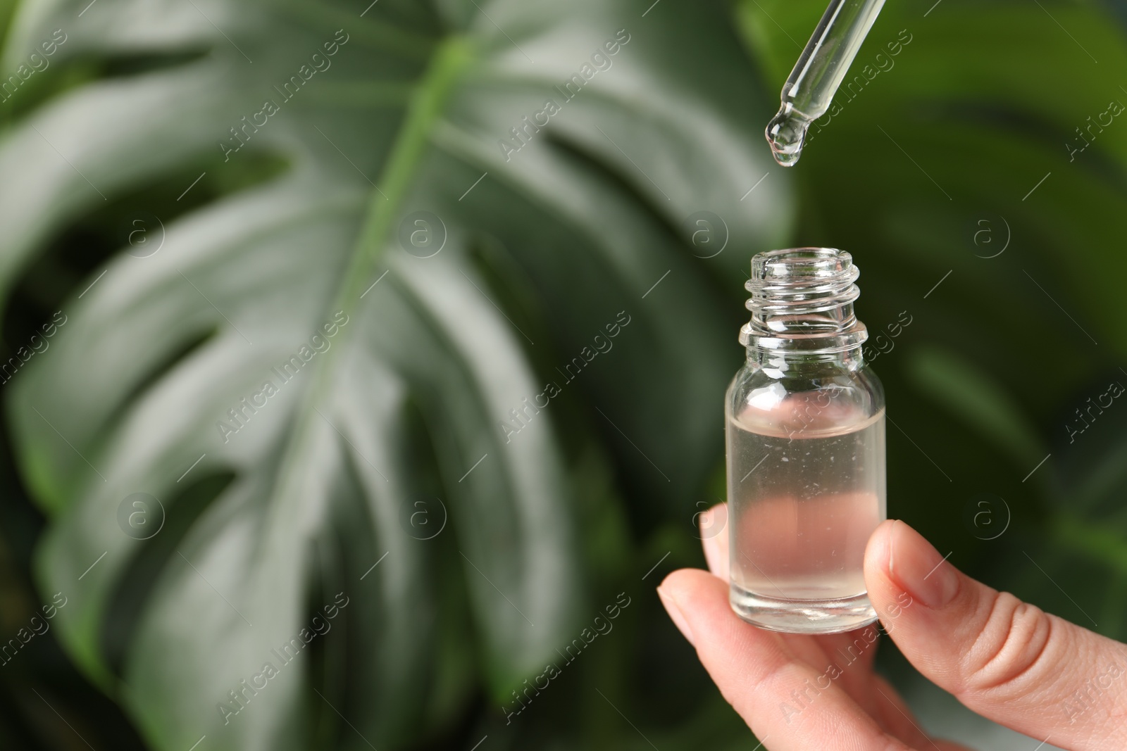 Photo of Woman dripping cosmetic serum from pipette into bottle on blurred background, closeup. Space for text