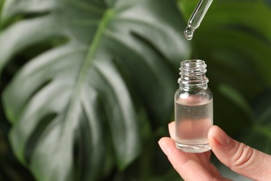 Woman dripping cosmetic serum from pipette into bottle on blurred background, closeup. Space for text