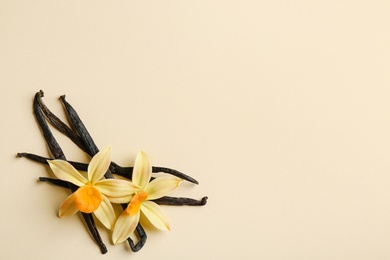 Flat lay composition with vanilla sticks and flowers on color background. Space for text