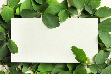 Photo of Blank card with space for text on green leaves