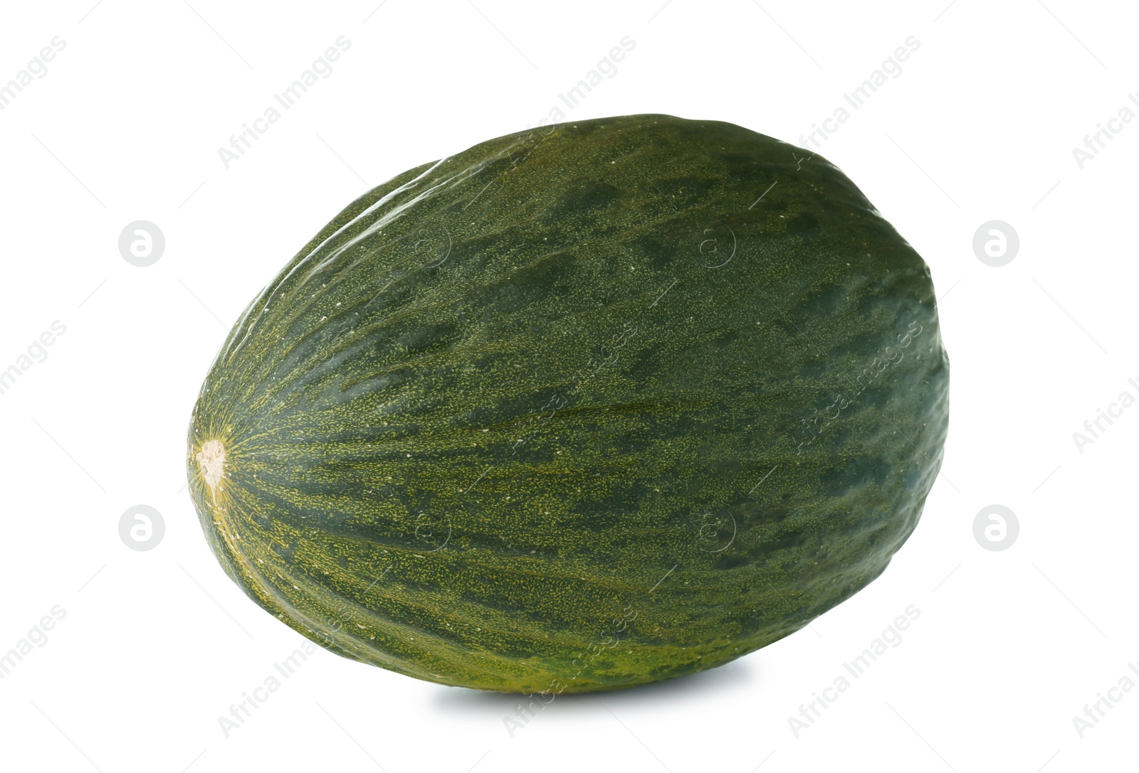 Photo of Whole tasty ripe melon on white background