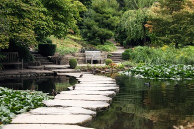 Beautiful view of park with pond, stone pathway and green plants
