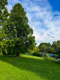 Photo of Picturesque view of beautiful park with fresh green grass and trees on sunny day