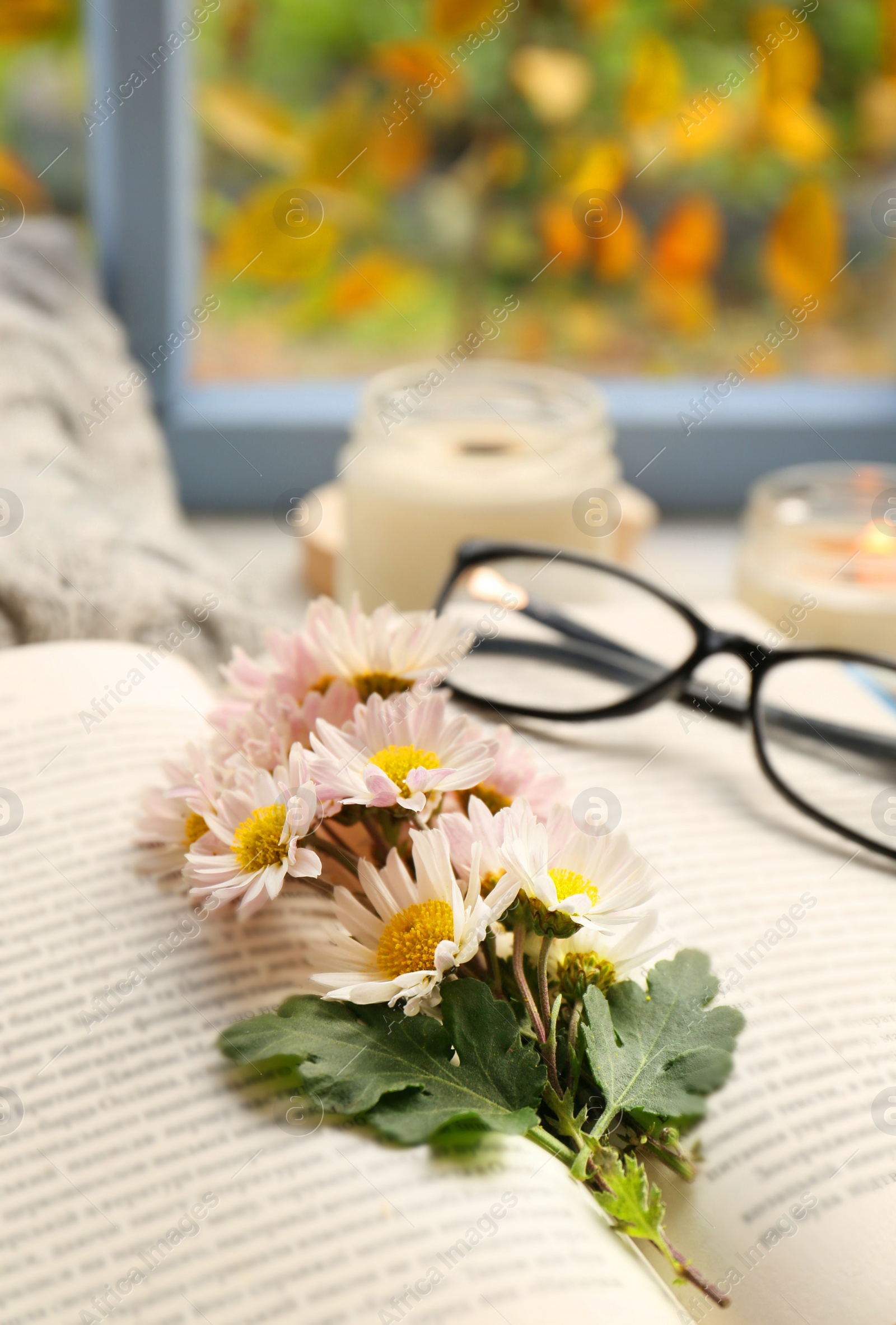 Photo of Open book with chamomile flowers as bookmark, scented candle and glasses on table near window, closeup. Space for text