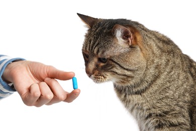 Photo of Woman giving blue pill to cute cat on white background, closeup. Vitamins for animal