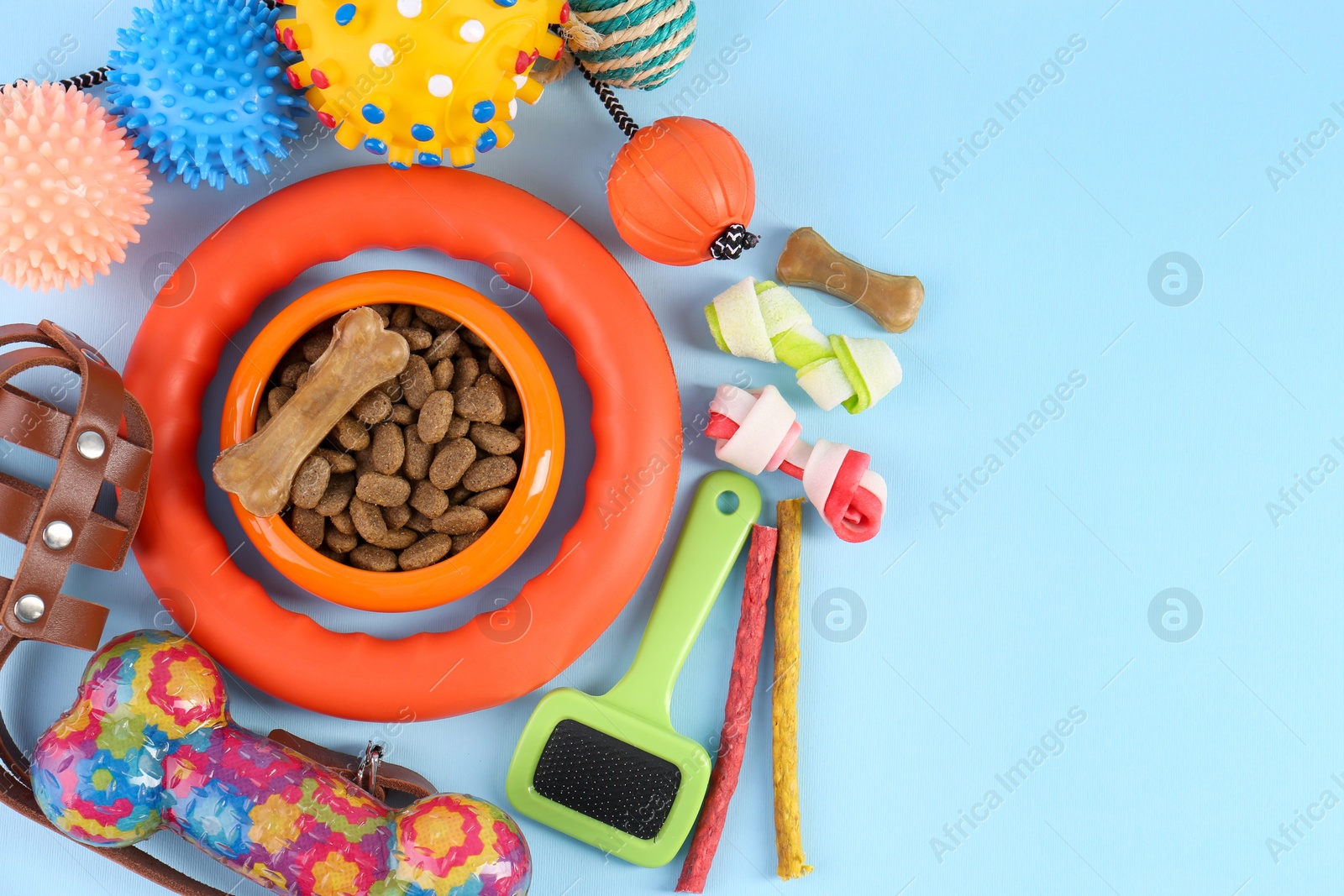 Photo of Dry pet food, toys and other goods on light blue background, flat lay with space for text. Shop items