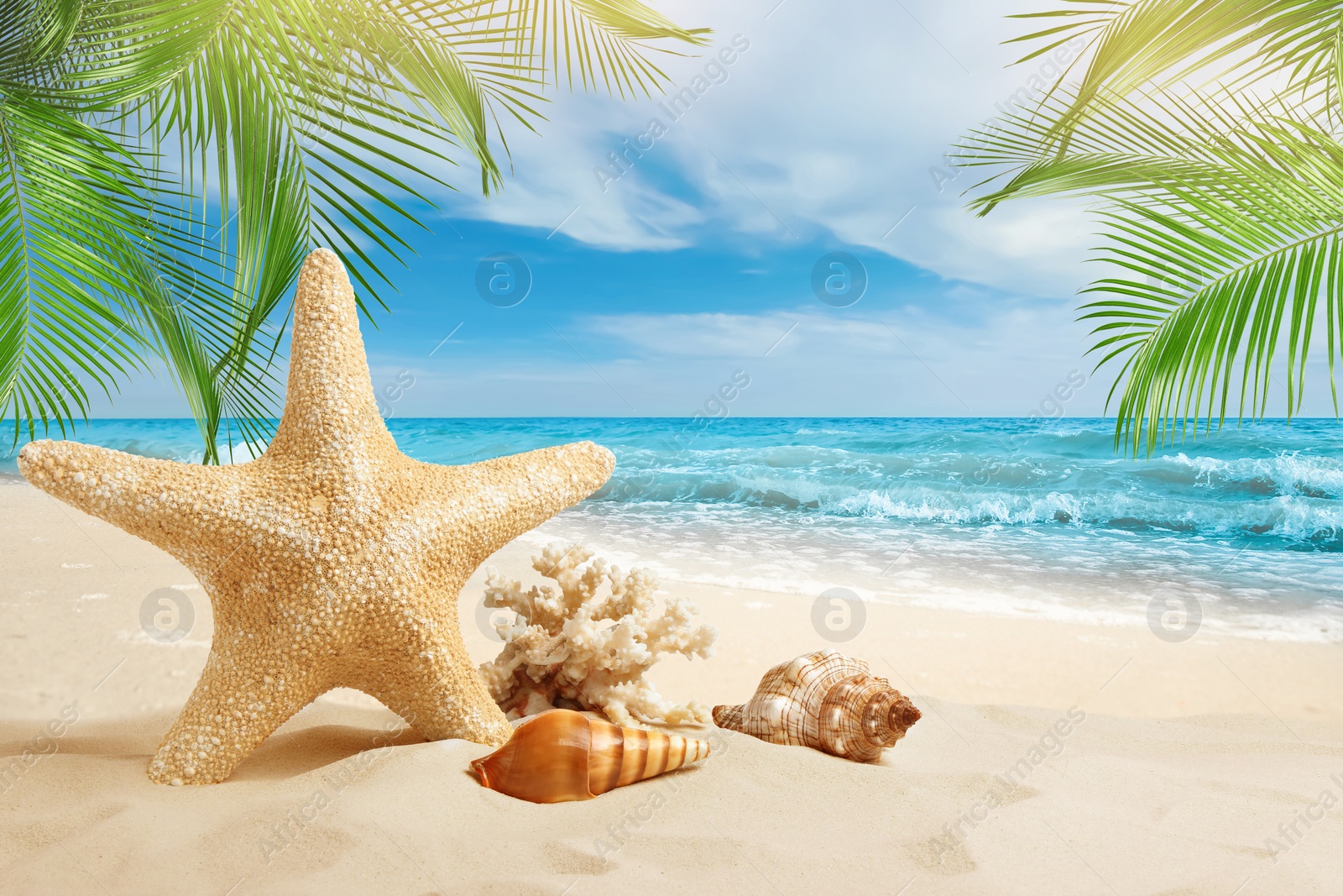 Image of Beautiful sea stars and seashells on sandy beach 